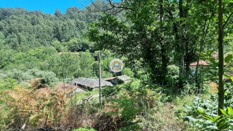 Quinta T1 para Venda em Moldes