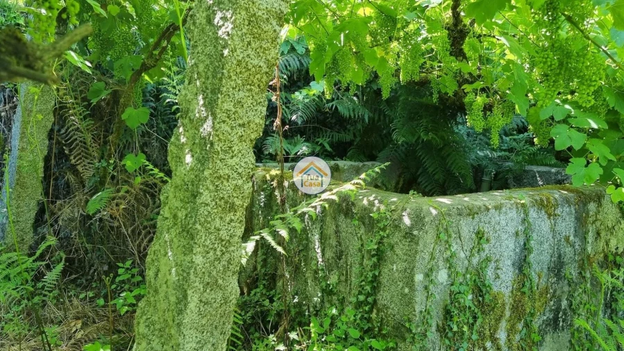 Quinta T1 para Venda em Moldes Foto 5