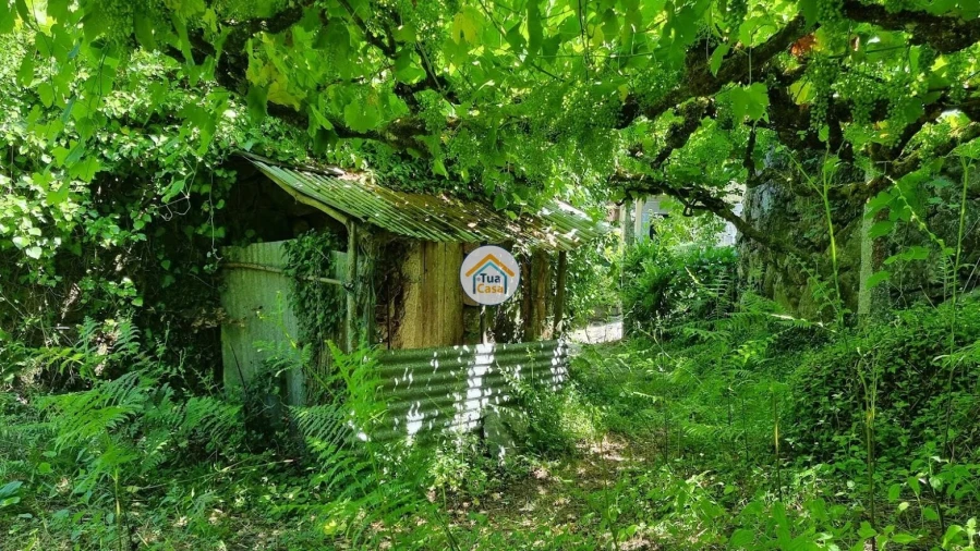 Quinta T1 para Venda em Moldes Foto 4