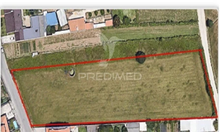 Terreno para Venda em Cacia