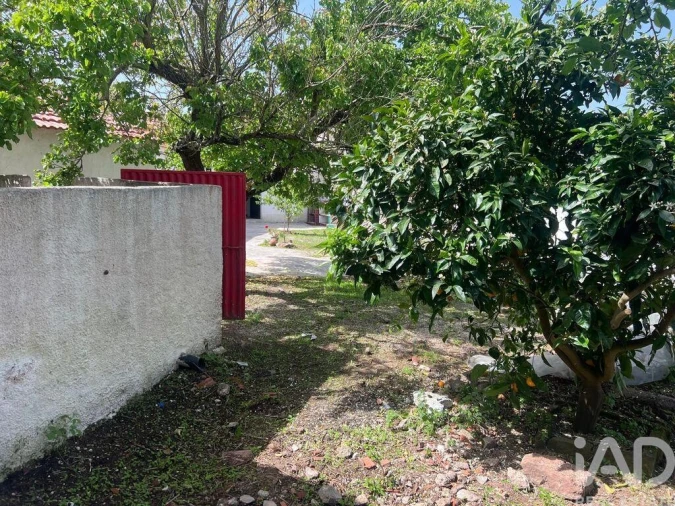 Moradia T2 para Venda em Lamas e Cercal Foto 38