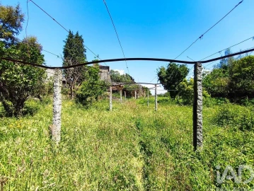 Quinta T5 para Venda em Barroselas e Carvoeiro
