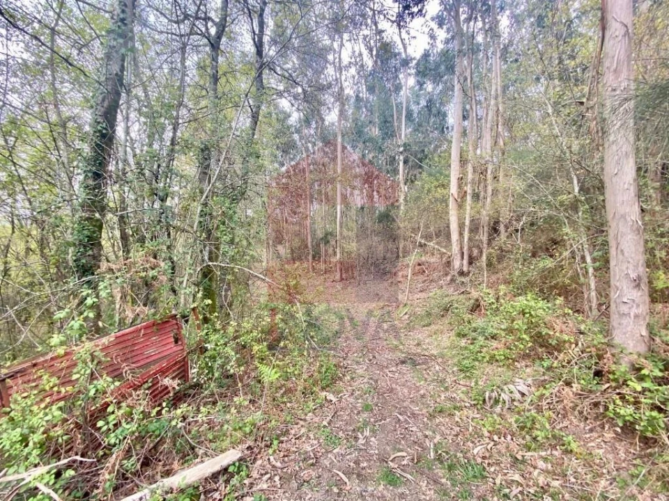 Terreno para Venda em Sande, Vilarinho, Barros e Gomide Foto 31