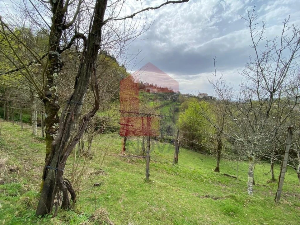Terreno para Venda em Sande, Vilarinho, Barros e Gomide Foto 18