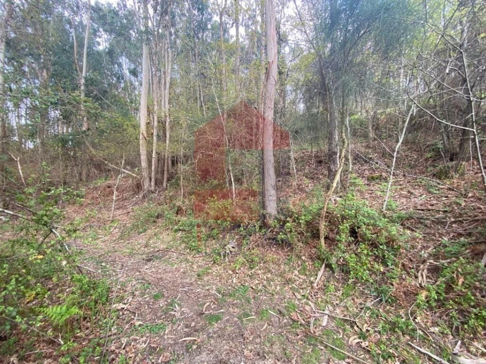 Terreno para Venda em Sande, Vilarinho, Barros e Gomide Foto 30