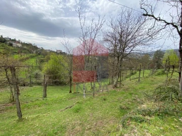 Terreno para Venda em Sande, Vilarinho, Barros e Gomide