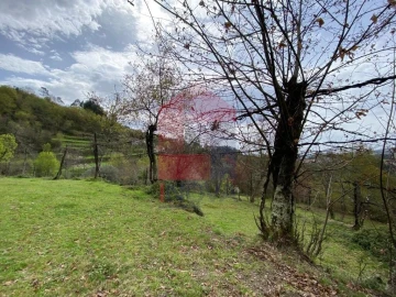 Terreno para Venda em Sande, Vilarinho, Barros e Gomide