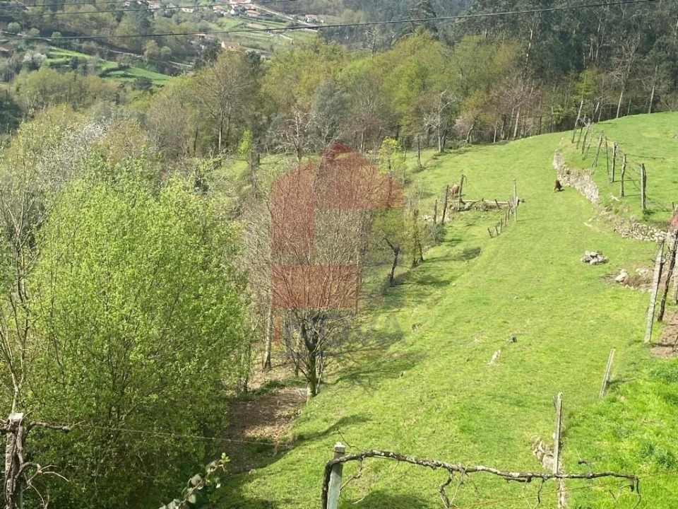 Terreno para Venda em Sande, Vilarinho, Barros e Gomide Foto 4