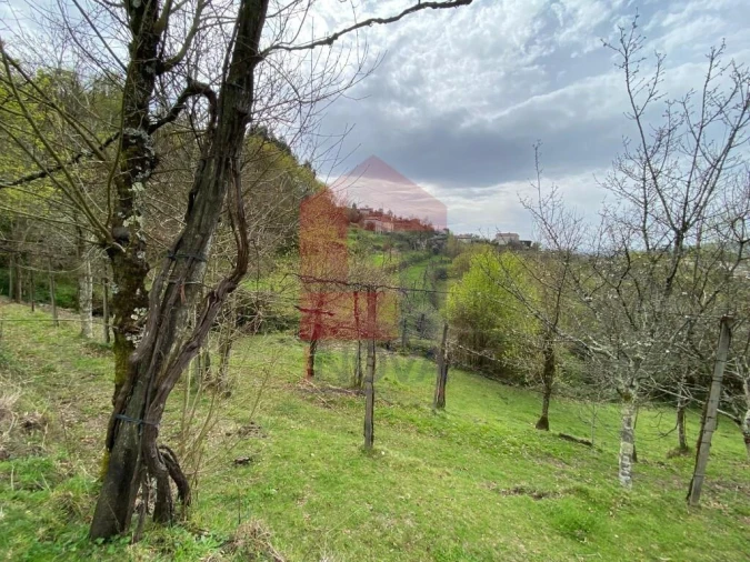 Terreno para Venda em Sande, Vilarinho, Barros e Gomide Foto 18