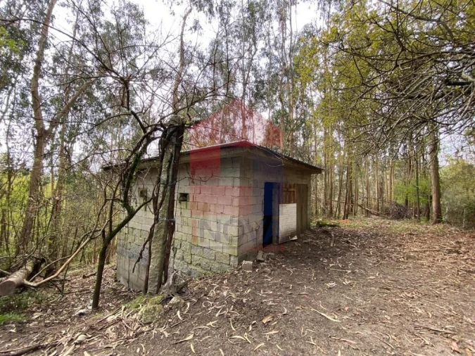 Terreno para Venda em Sande, Vilarinho, Barros e Gomide Foto 13