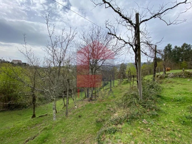 Terreno para Venda em Sande, Vilarinho, Barros e Gomide Foto 20