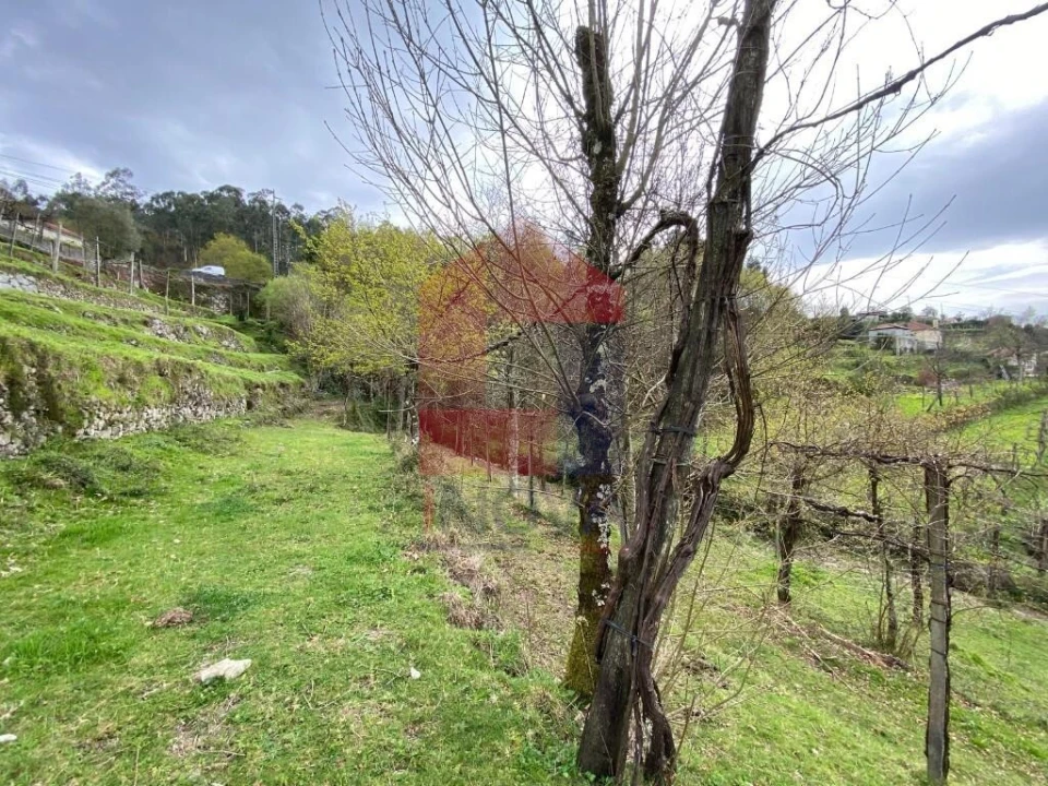 Terreno para Venda em Sande, Vilarinho, Barros e Gomide Foto 21