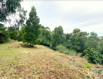 Terreno para Venda em São João das Lampas e Terrugem