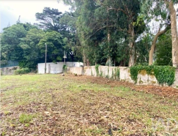 Terreno para Venda em São João das Lampas e Terrugem