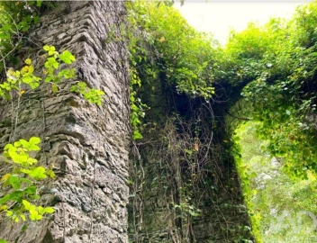 Terreno para Venda em São João das Lampas e Terrugem