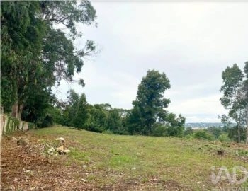 Terreno para Venda em São João das Lampas e Terrugem