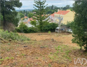 Terreno para Venda em São João das Lampas e Terrugem