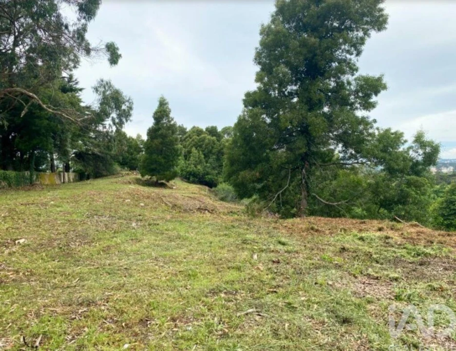 Terreno para Venda em São João das Lampas e Terrugem Foto 4