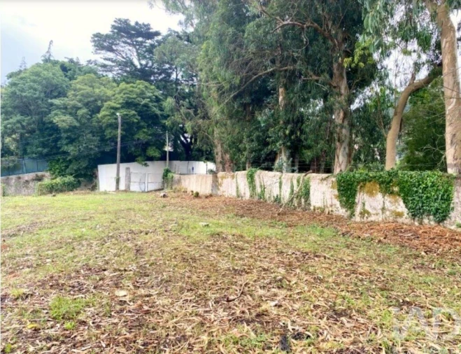 Terreno para Venda em São João das Lampas e Terrugem Foto 12