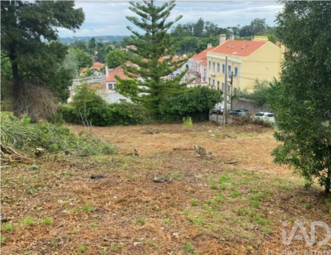 Terreno para Venda em São João das Lampas e Terrugem Foto 2