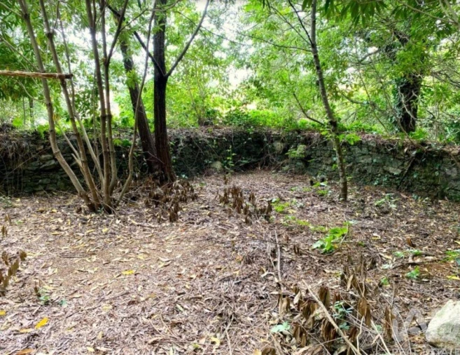 Terreno para Venda em São João das Lampas e Terrugem Foto 7