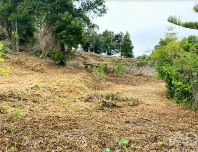 Terreno para Venda em São João das Lampas e Terrugem Foto 6
