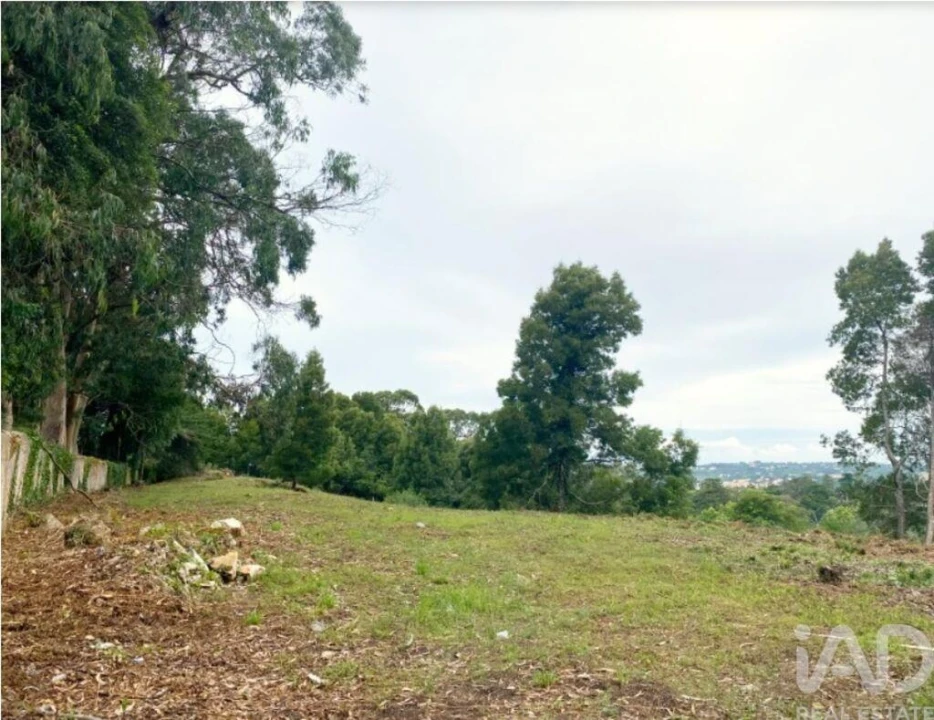 Terreno para Venda em São João das Lampas e Terrugem Foto 3