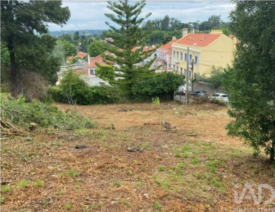 Terreno para Venda em São João das Lampas e Terrugem Foto 2