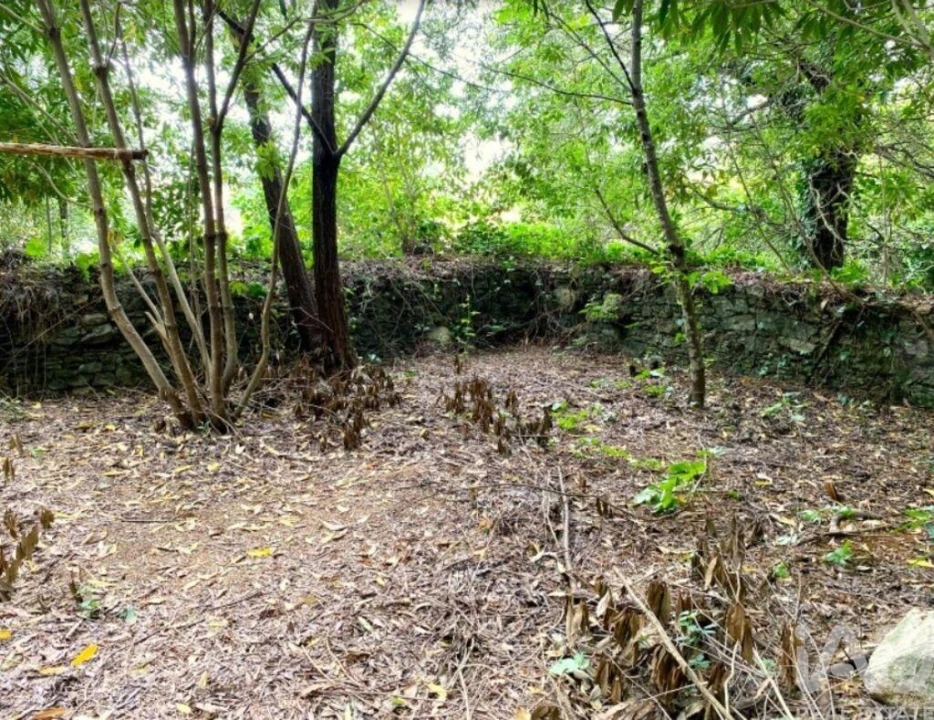 Terreno para Venda em São João das Lampas e Terrugem Foto 7