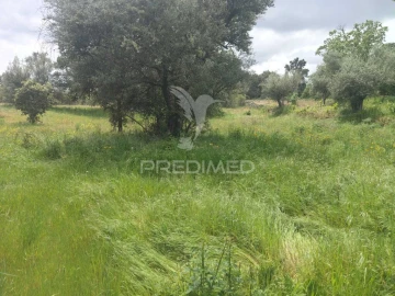 Terreno para Venda em Leomil, Mido, Senouras e Aldeia Nova