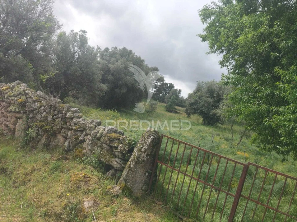 Terreno para Venda em Leomil, Mido, Senouras e Aldeia Nova Foto 2
