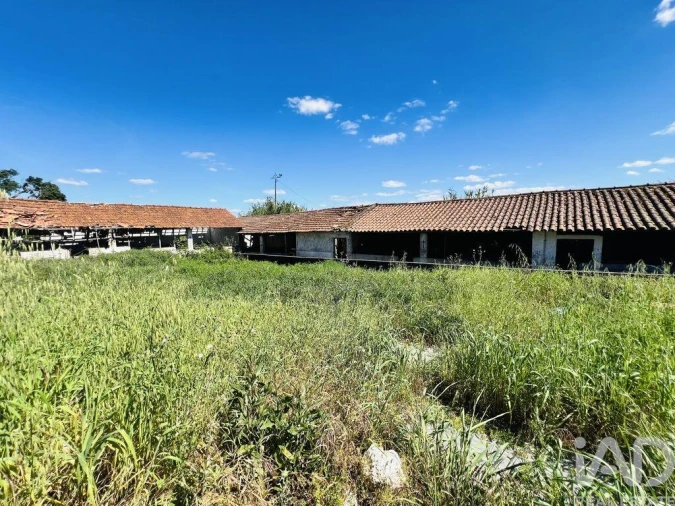 Moradia T8 para Venda em Seiça Foto 5