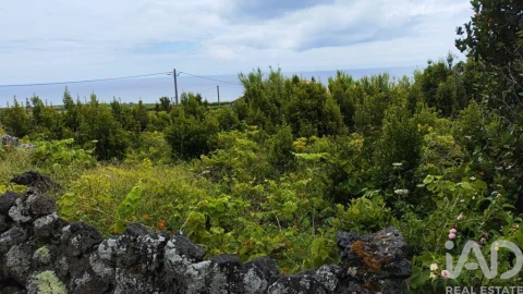 Terreno para Venda em Luz