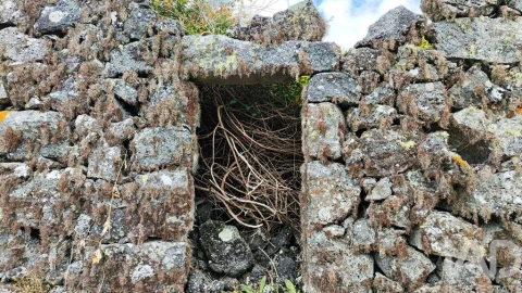 Terreno para Venda em Luz