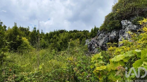 Terreno para Venda em Luz