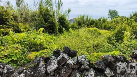Terreno para Venda em Luz