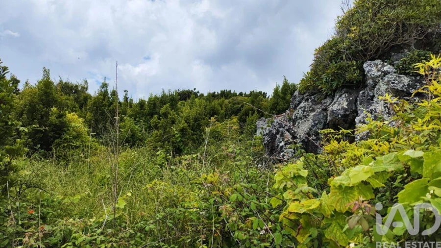 Terreno para Venda em Luz Foto 4