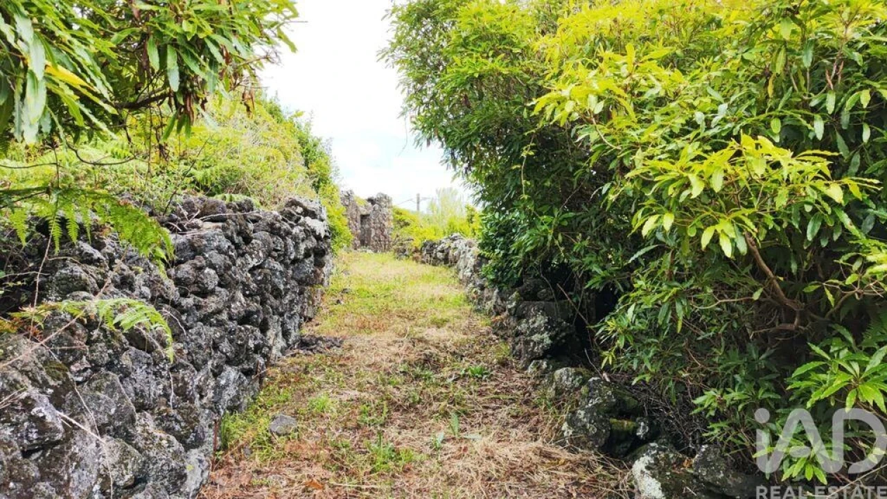 Terreno para Venda em Luz Foto 8
