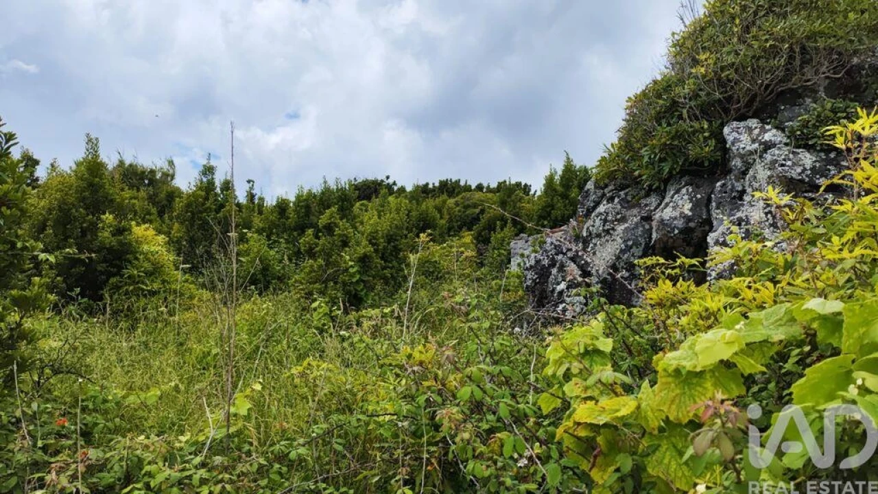 Terreno para Venda em Luz Foto 4