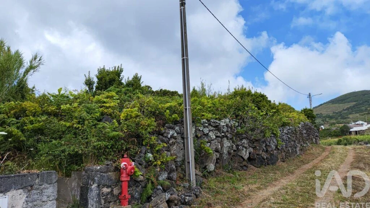 Terreno para Venda em Luz Foto 3