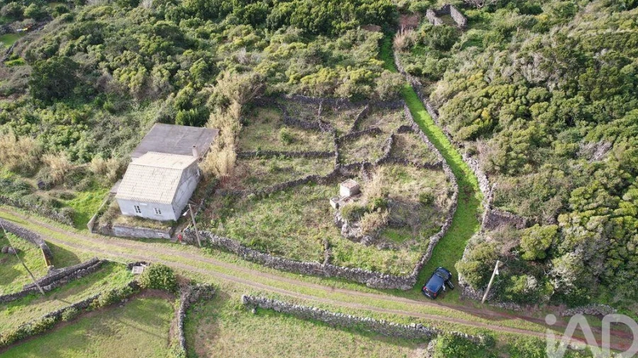Terreno para Venda em Luz