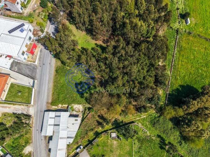 Terreno para Venda em Vilela Foto 2