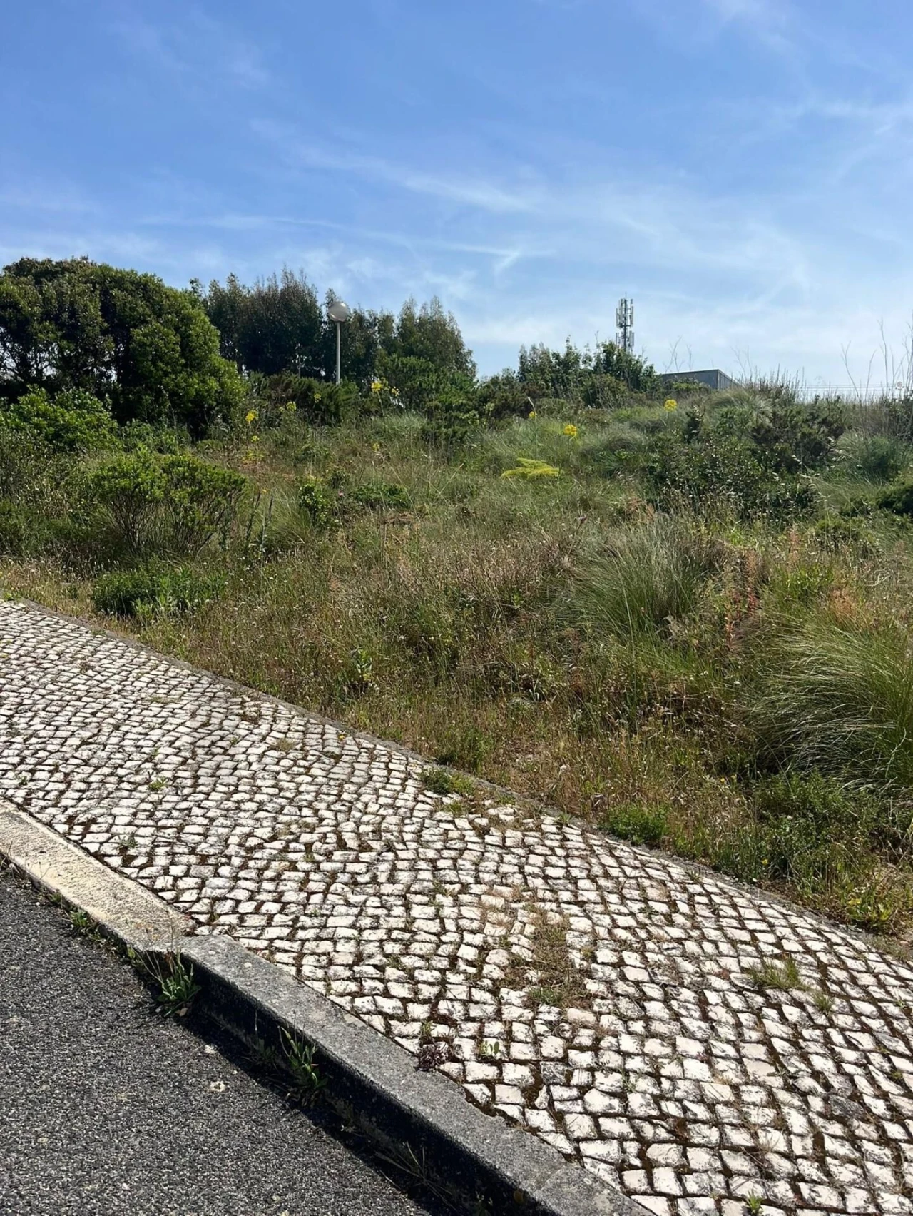 Terreno para Venda em Santa Maria, São Pedro e Matacães Foto 21