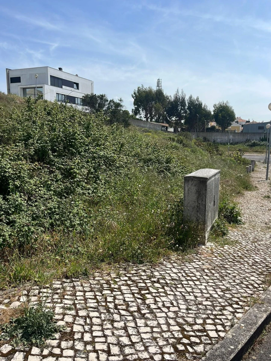 Terreno para Venda em Santa Maria, São Pedro e Matacães Foto 14
