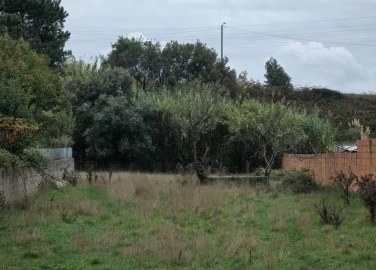 Terreno para Venda em Oliveirinha