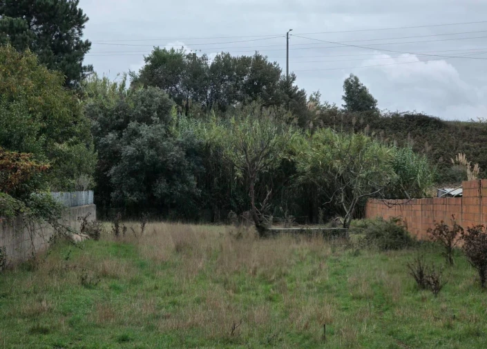 Terreno para Venda em Oliveirinha Foto 3