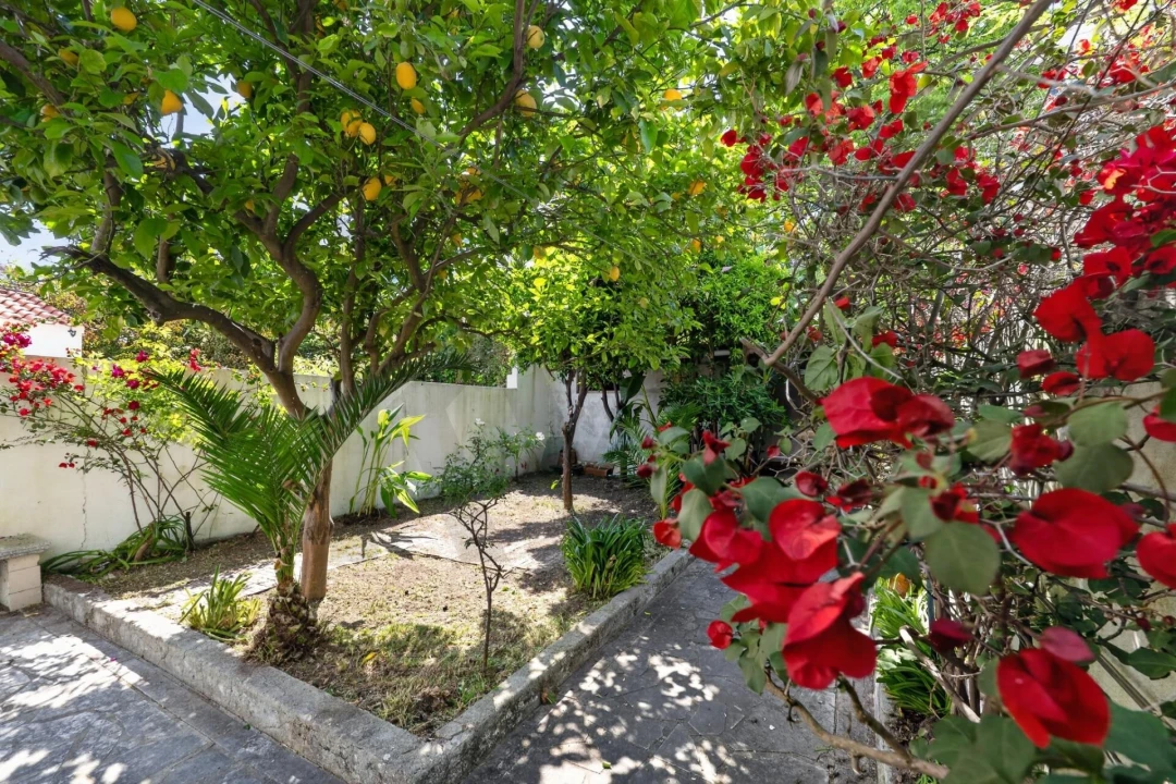 Apartamento T2 para Venda em Estrela Foto 15
