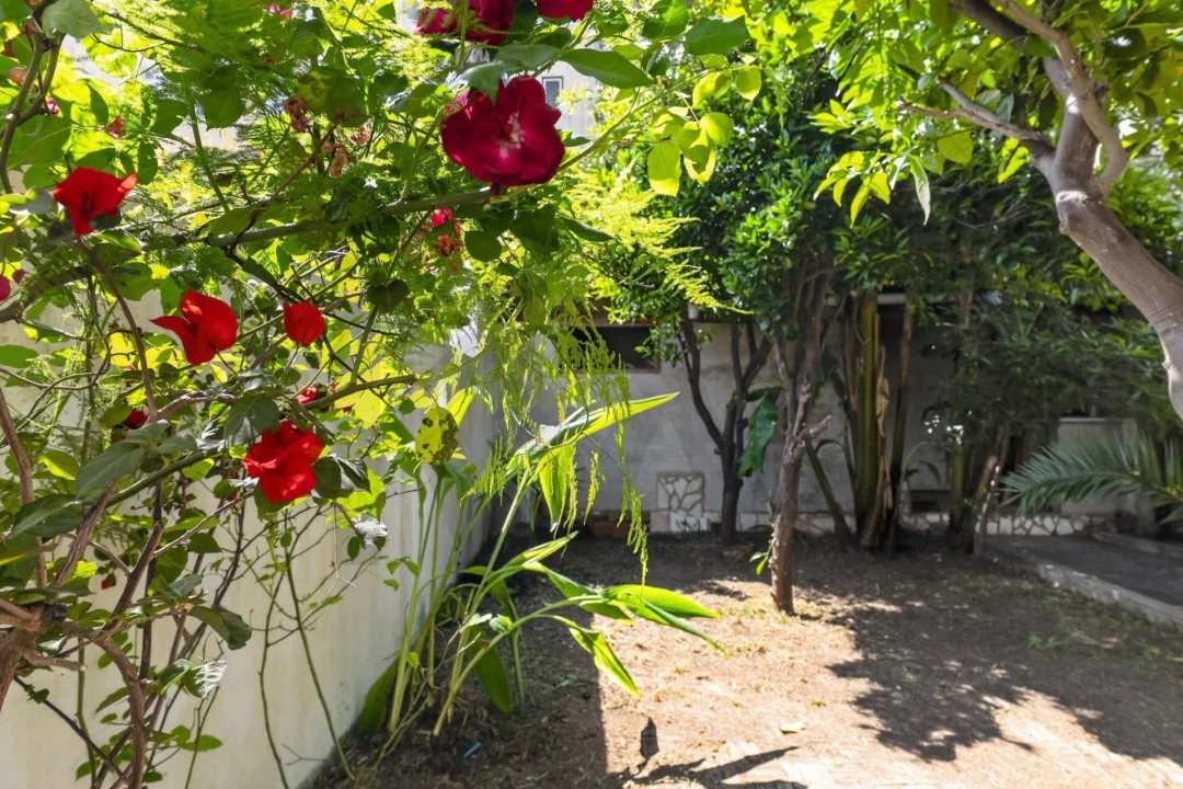Apartamento T2 para Venda em Estrela Foto 45
