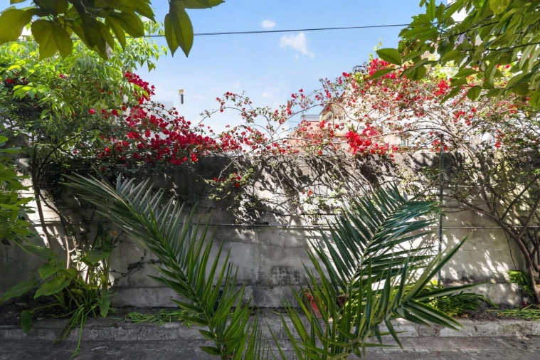 Apartamento T2 para Venda em Estrela Foto 2