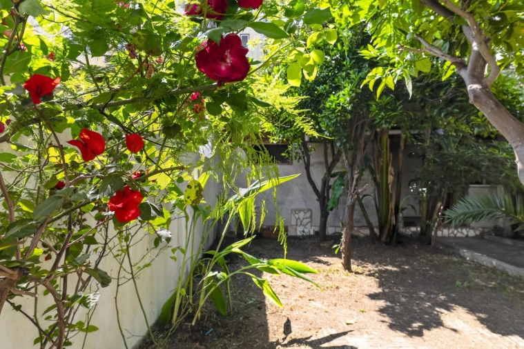 Apartamento T2 para Venda em Estrela Foto 45